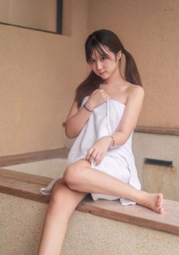 喜羊羊与灰太狼之羊村守护者